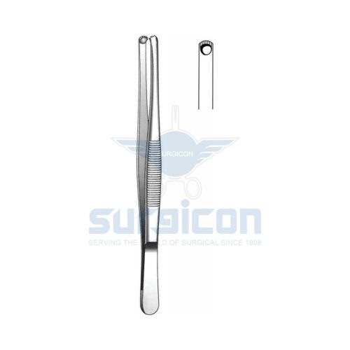 Penceta dinţată, palmată 15 cm П-83 J-16-119