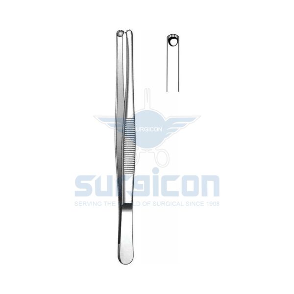 Penceta dinţată, palmată 15 cm П-83 J-16-119