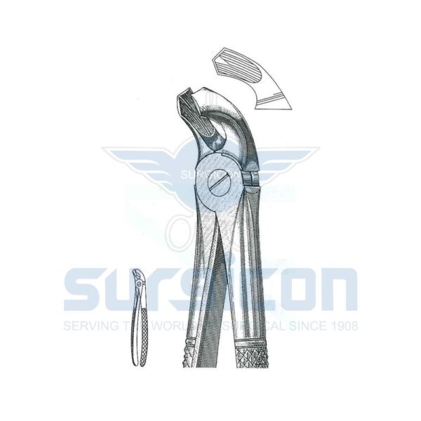 Cleste stomatologic SD-0214-21 Molari inferiori, de fiecare parte