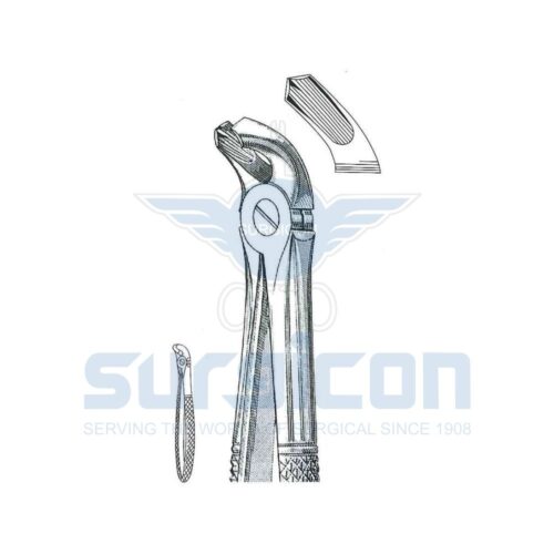 Cleste stomatologic SD-0238-40 Molari inferiori, pe ambele părți Pentru copii