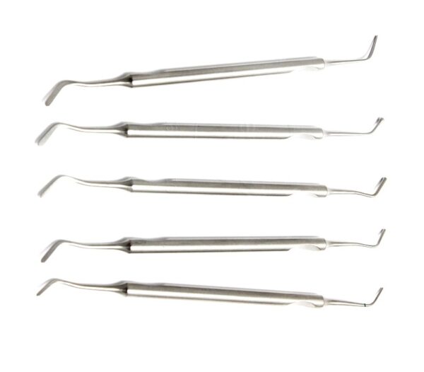 Fuluar netezitor N1, 2, 3, 4, 5, 6